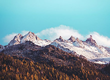 九游娱乐官网：点亮你的手游世界，开启无忧畅玩新旅程