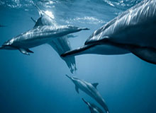 九游体育-九游官网：开启你的游戏新纪元